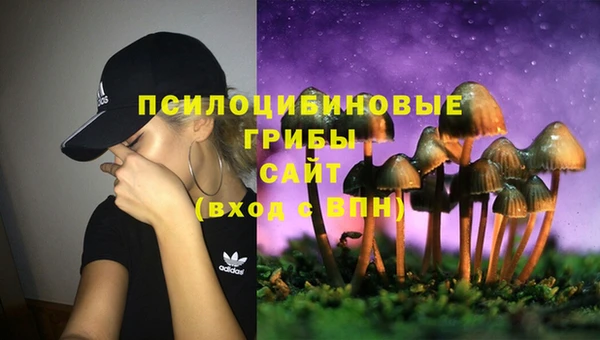 твердый Бугульма