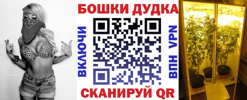 Бошки марихуана SATIVA & INDICA  купить  цена  darknet формула  Лениногорск 